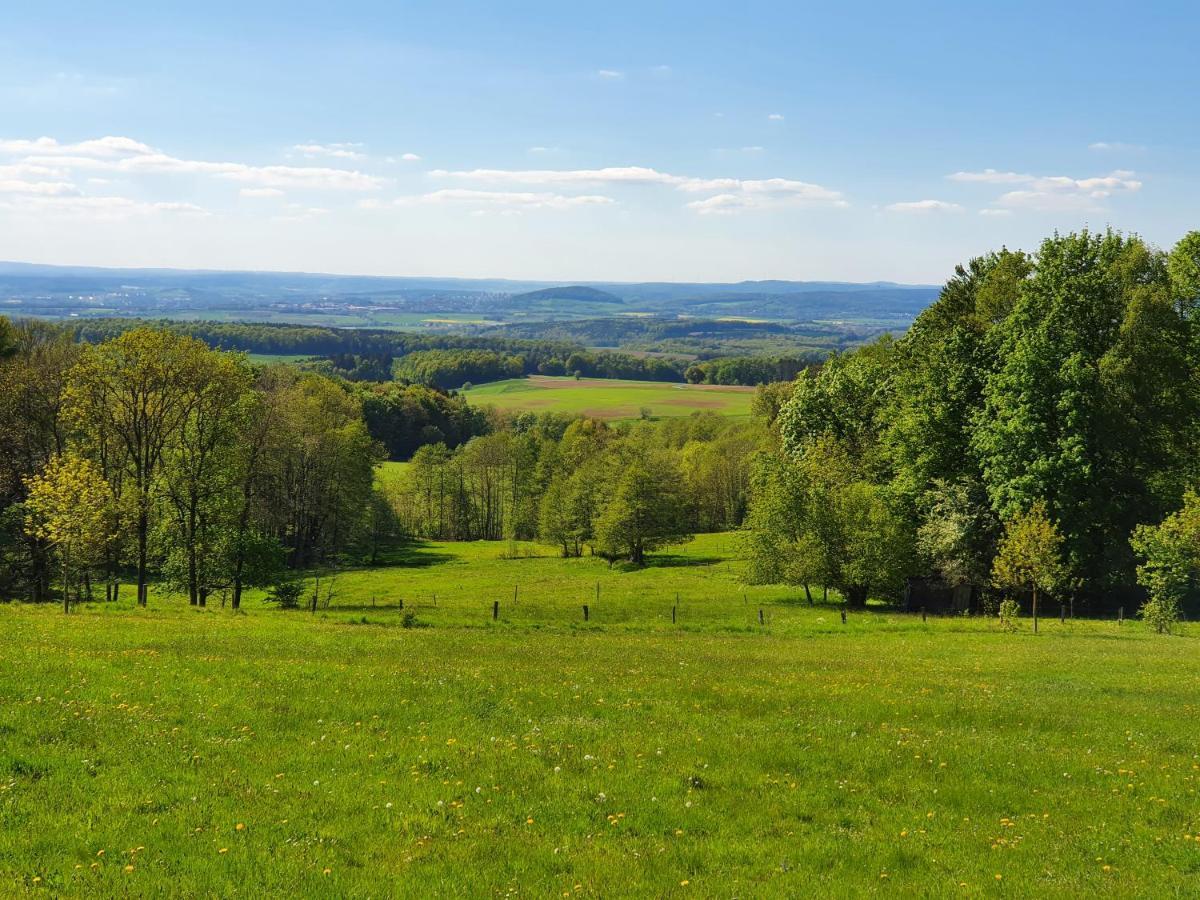 Garni Hotel Biebertal Am Milseburgradweg Hofbieber Exteriér fotografie